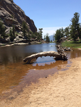 Quiet stream in the Rocky Mountains.