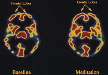 Your brain on religion.