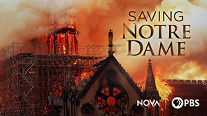 Saving Notre Dame (2020)